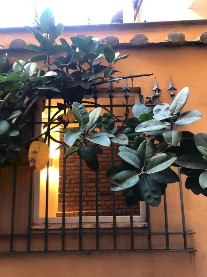 Апартаменты Pantheon, Campo De Fiori Mini Garden Рим Экстерьер фото
