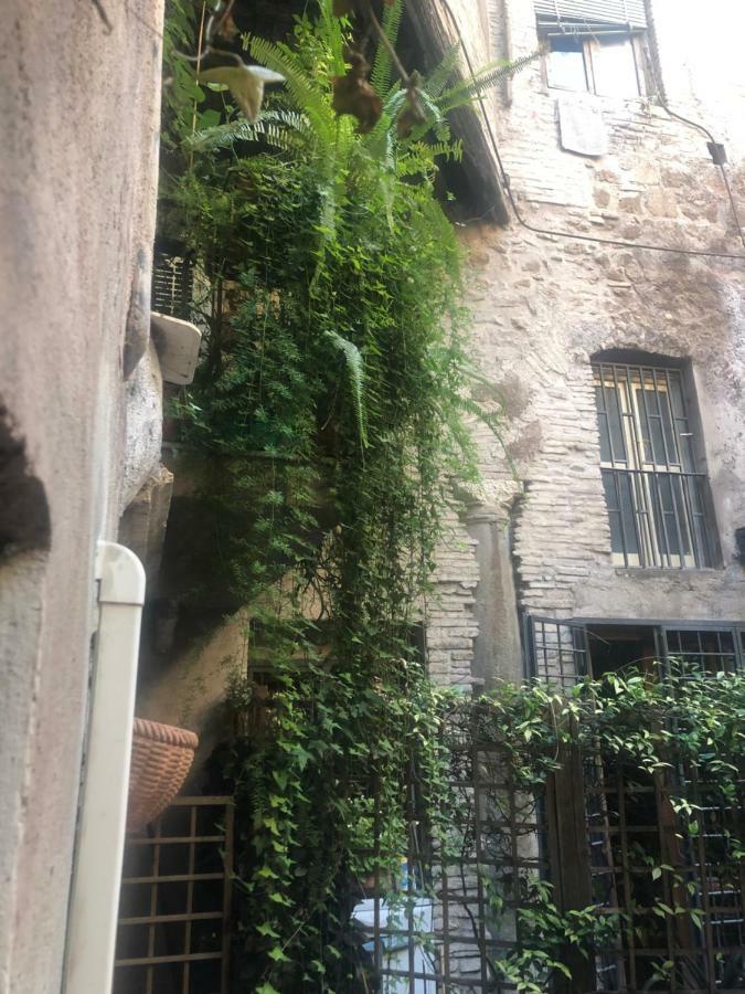 Апартаменты Pantheon, Campo De Fiori Mini Garden Рим Экстерьер фото
